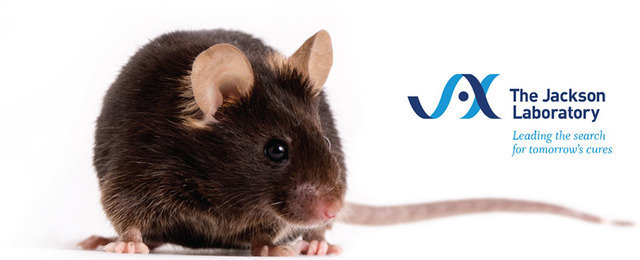 Science Magazine - August 31, 2018 - Aged mice on demand