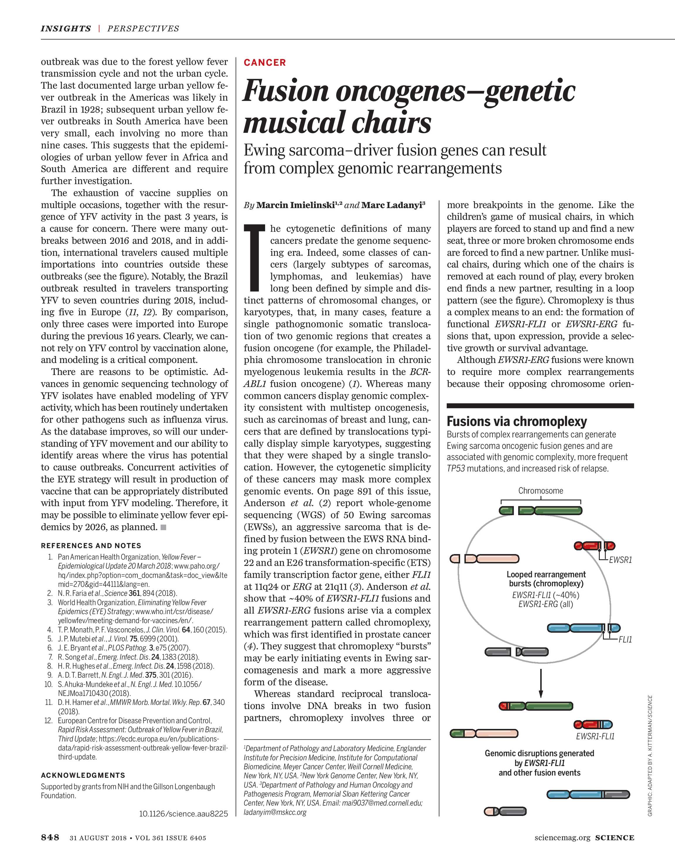 Science Magazine August 31 2018 Page 848