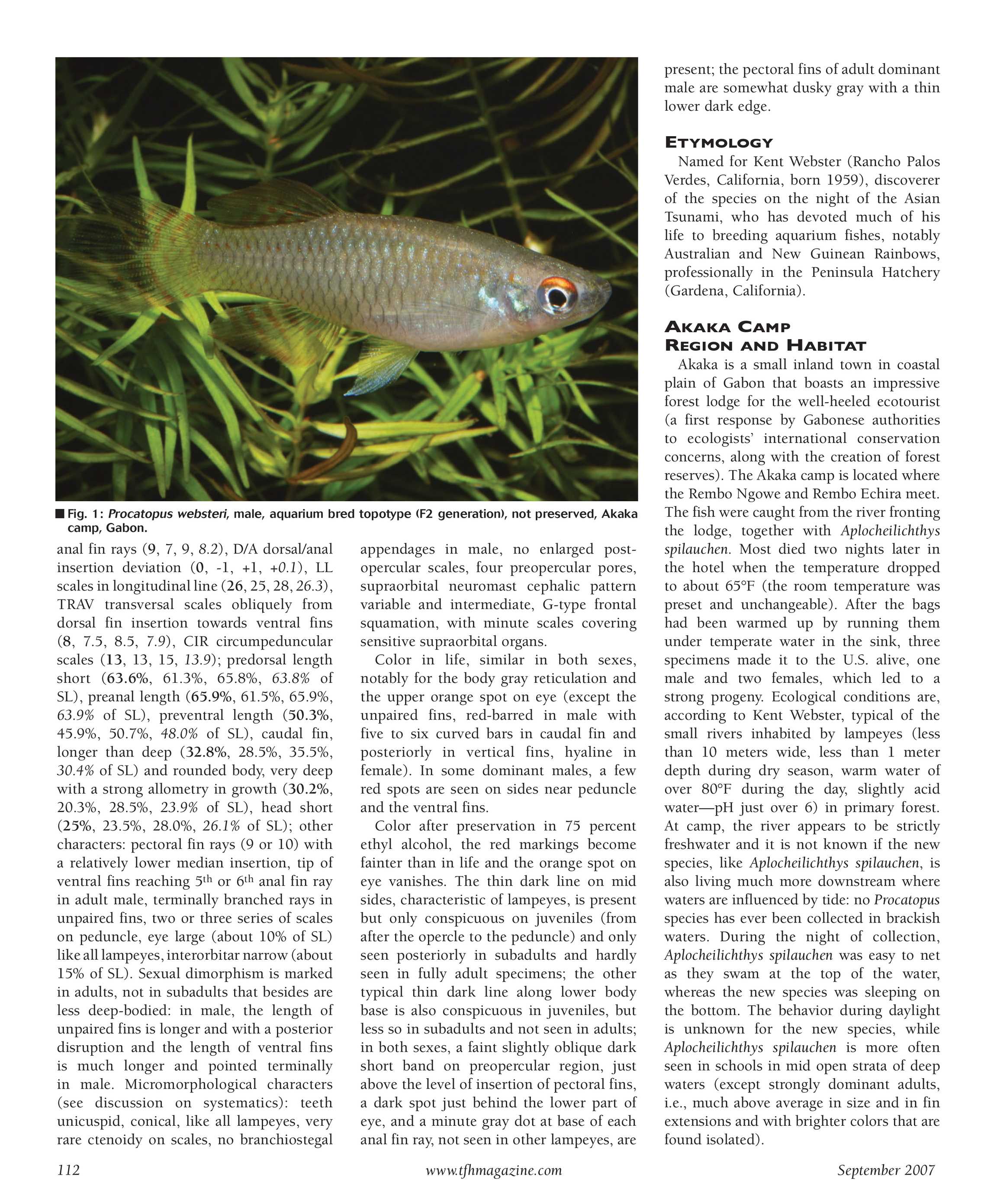 Tropical Fish Hobbyist - September 2007 - page 112