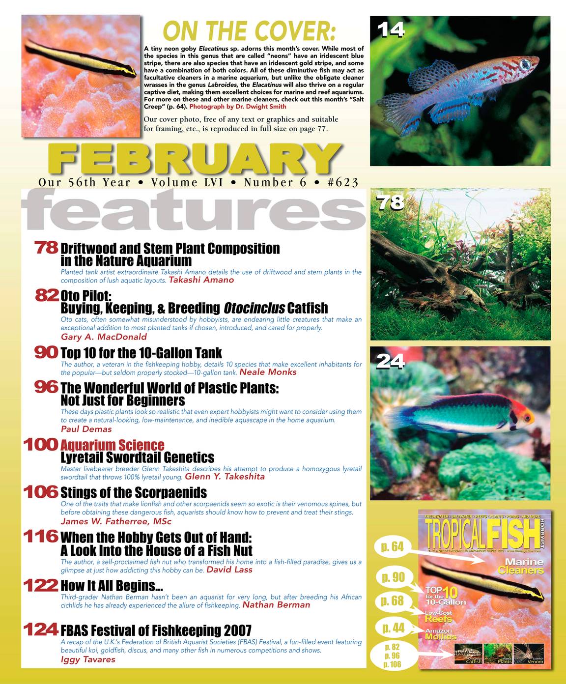 February 2008 - page 6 - Tropical Fish Hobbyist