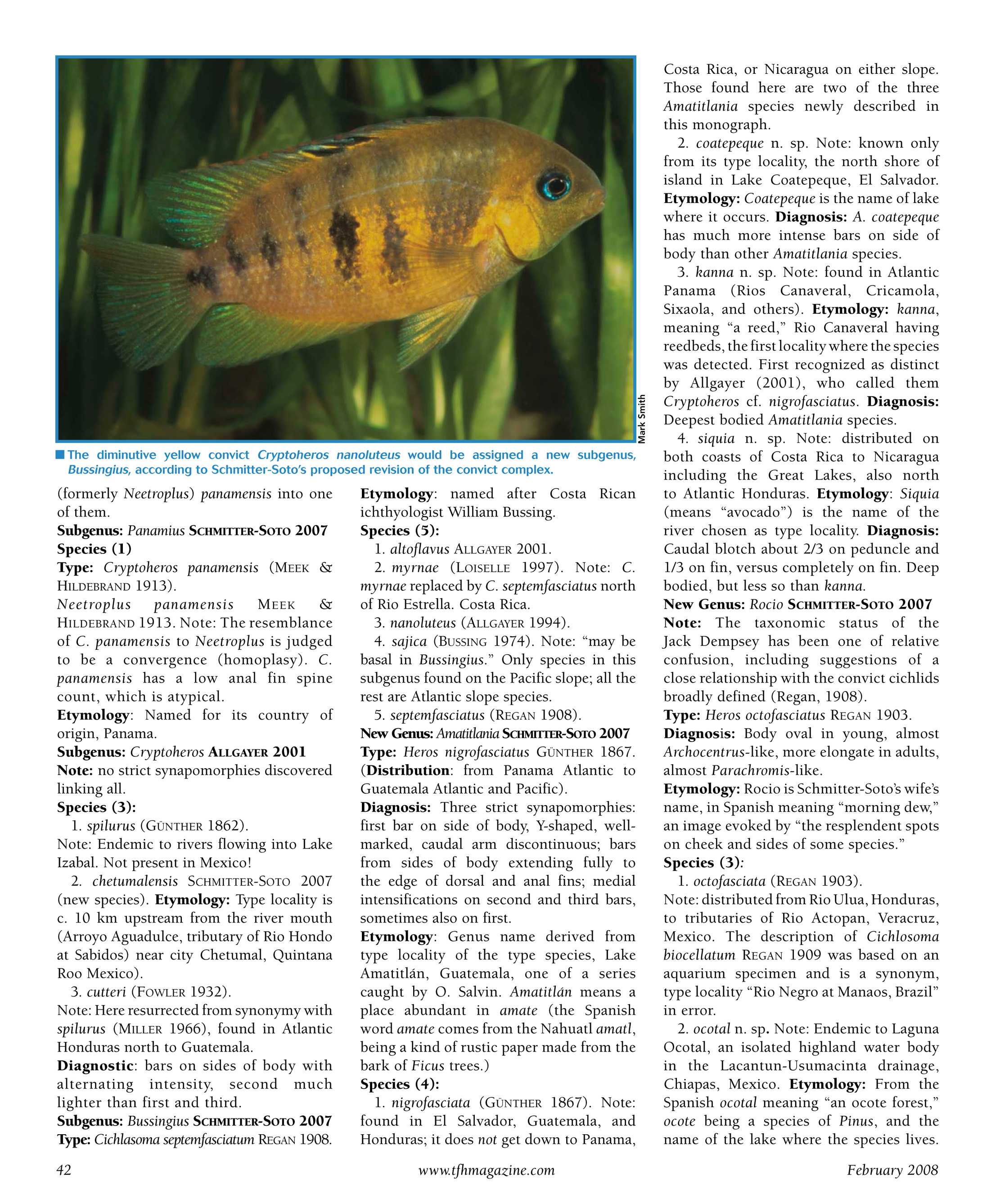 Tropical Fish Hobbyist - February 2008 - page 42