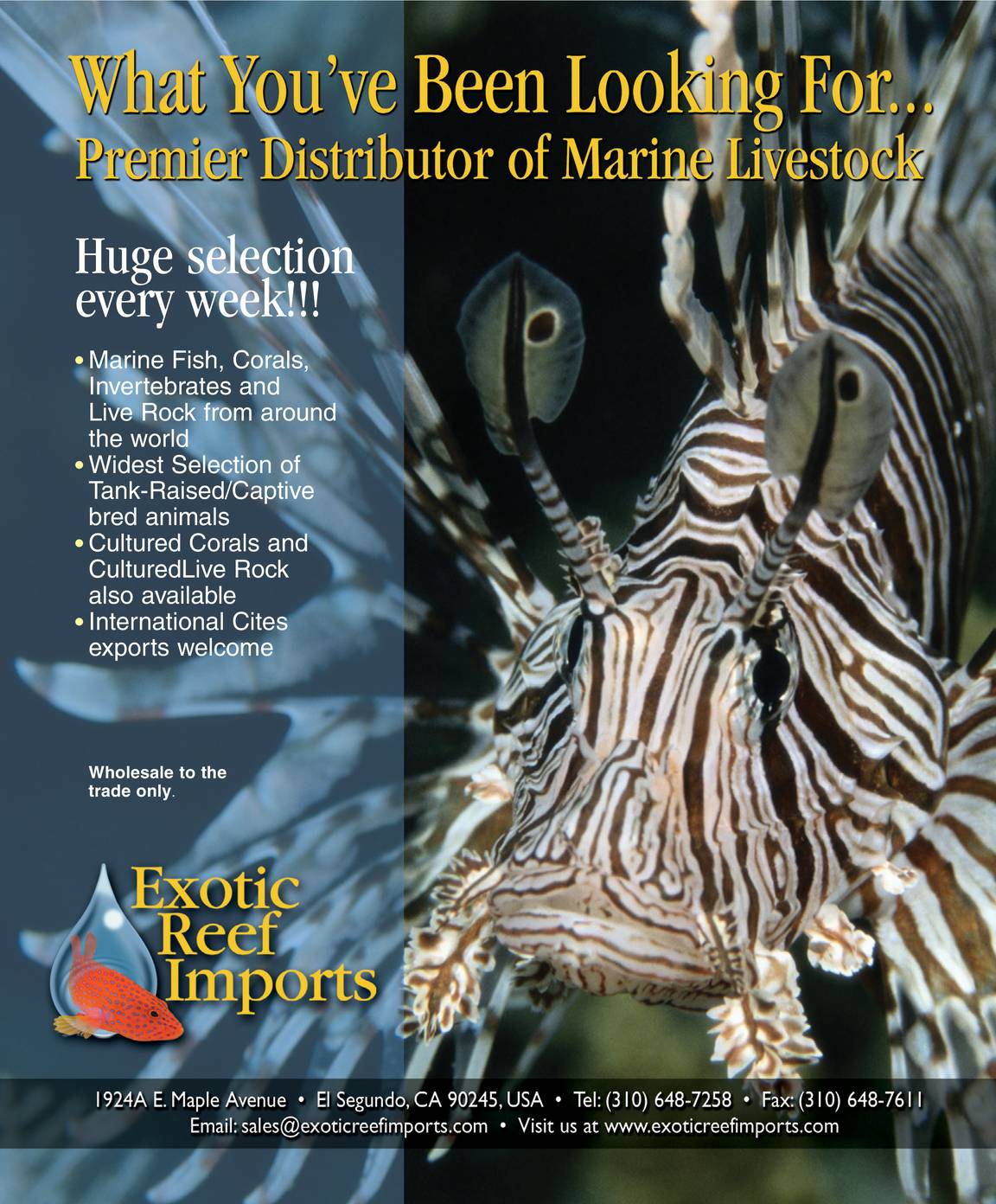 Tropical Fish Hobbyist - March 2008 - page 124