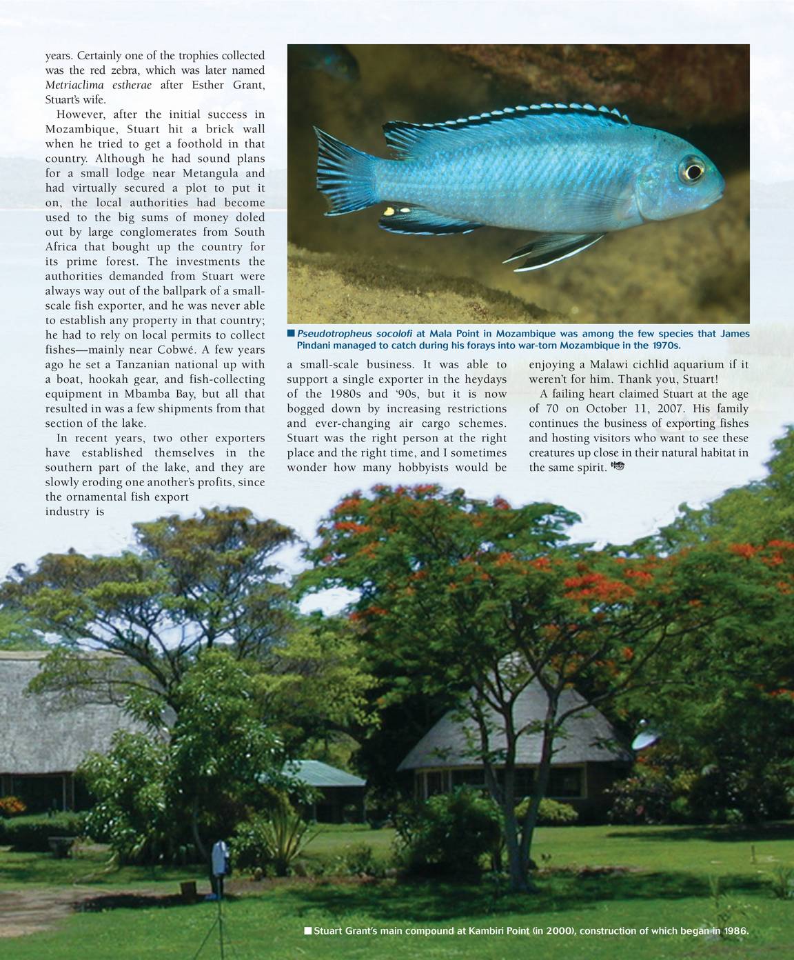 Tropical Fish Hobbyist - July 2008 - page 96