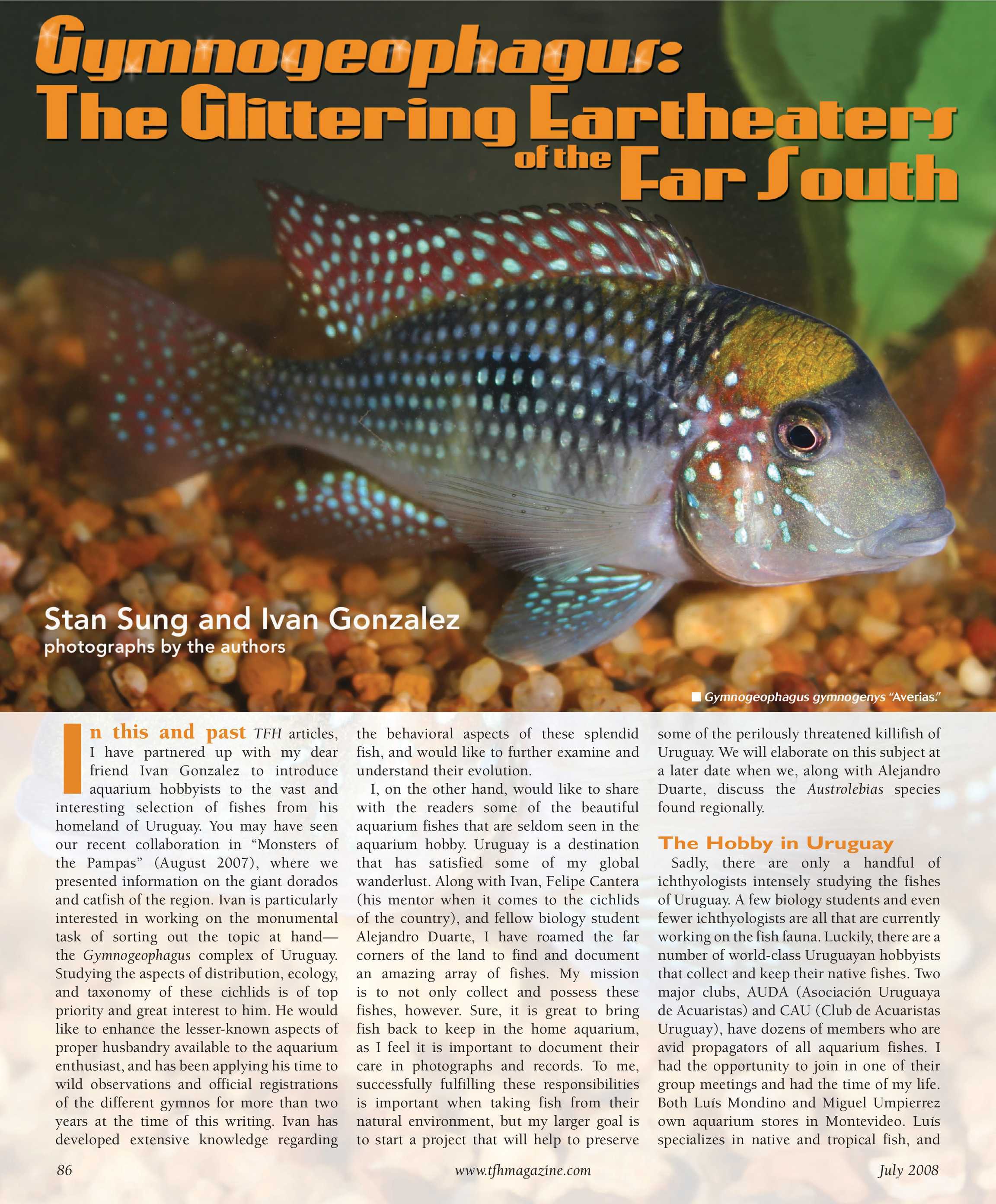 Tropical Fish Hobbyist - July 2008 - page 86