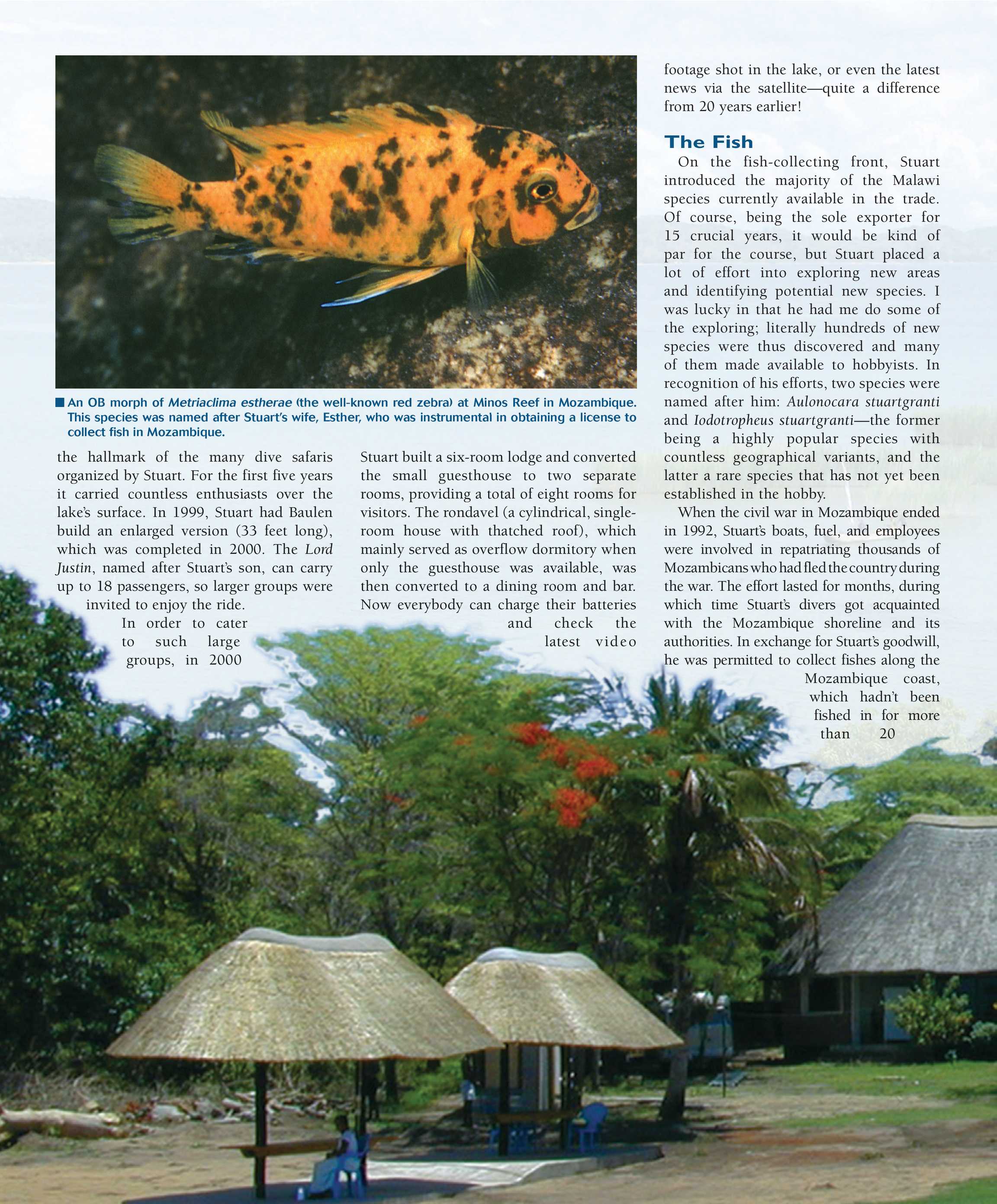 Tropical Fish Hobbyist - July 2008 - page 100