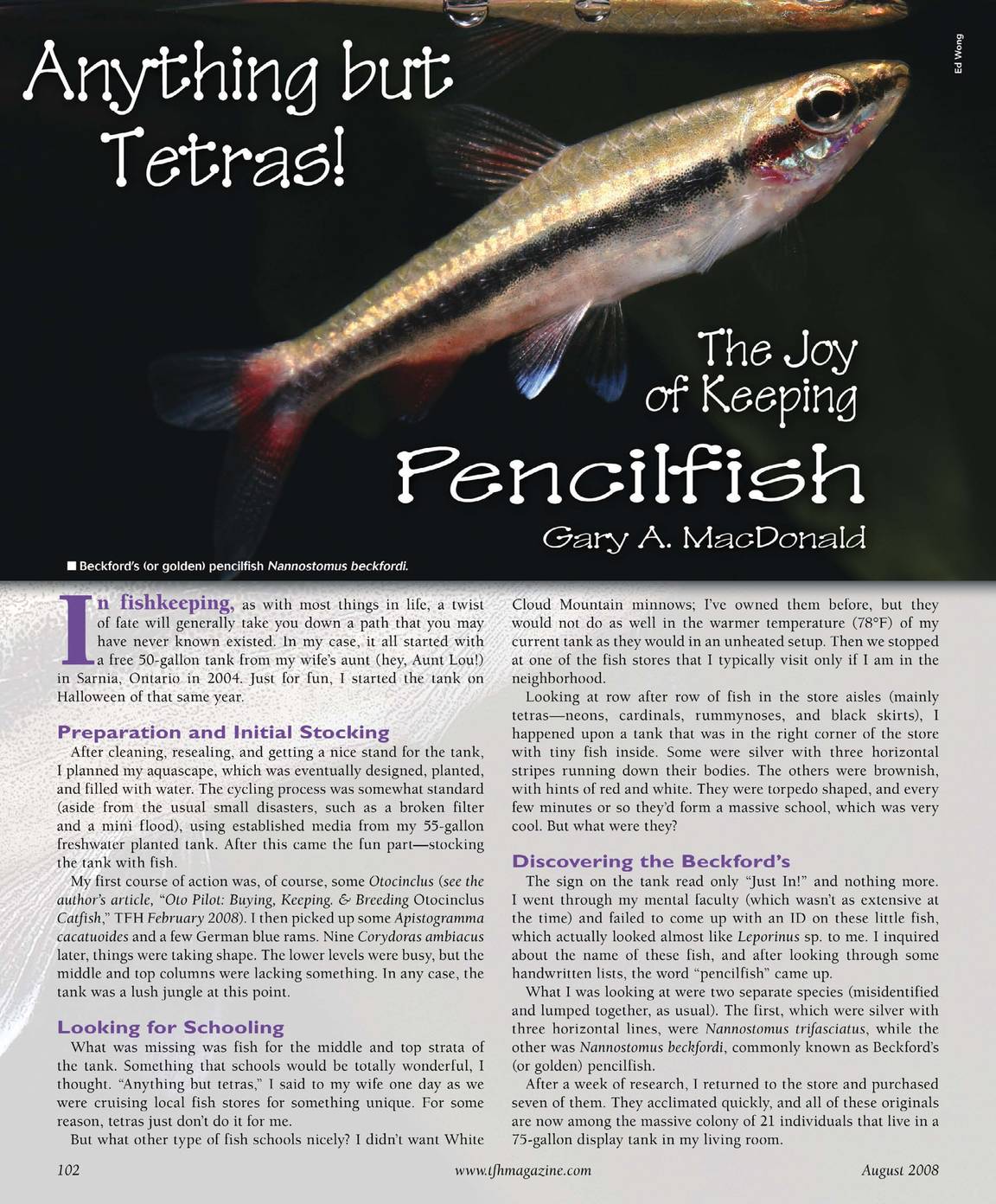 Tropical Fish Hobbyist - August 2008 - page 97
