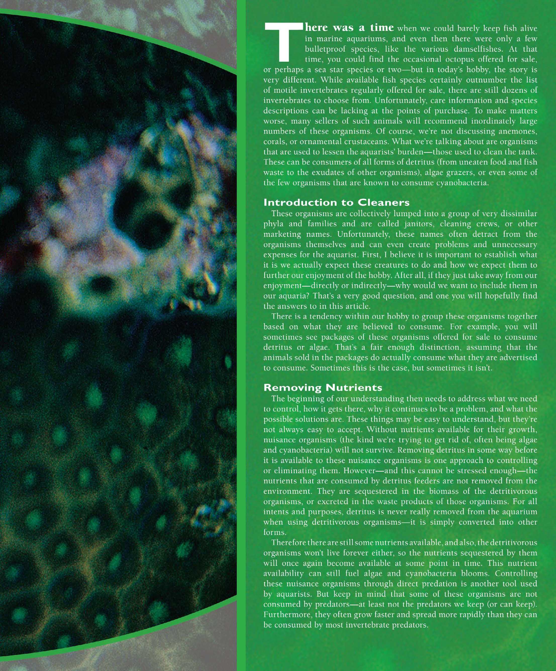 Tropical Fish Hobbyist - August 2008 - page 109