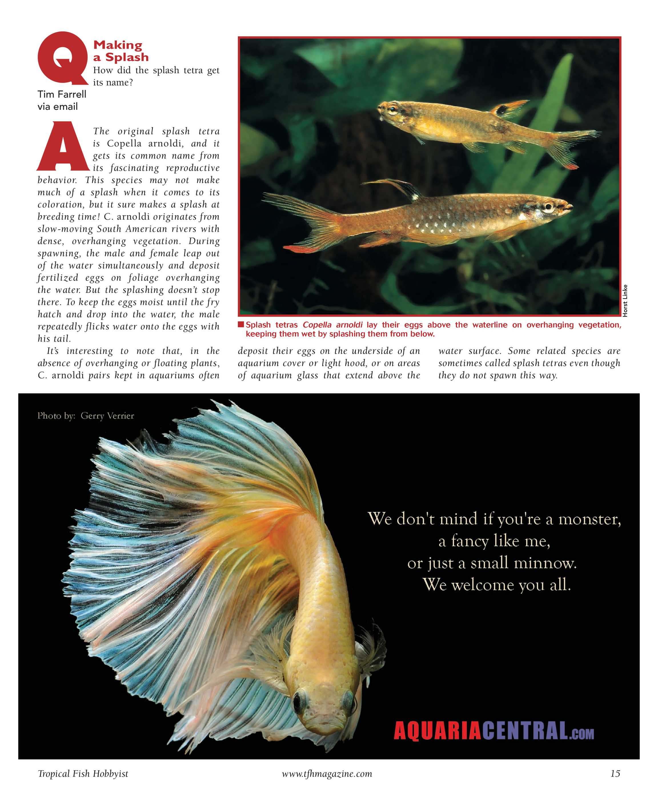 Tropical Fish Hobbyist - February 2009 - page 15