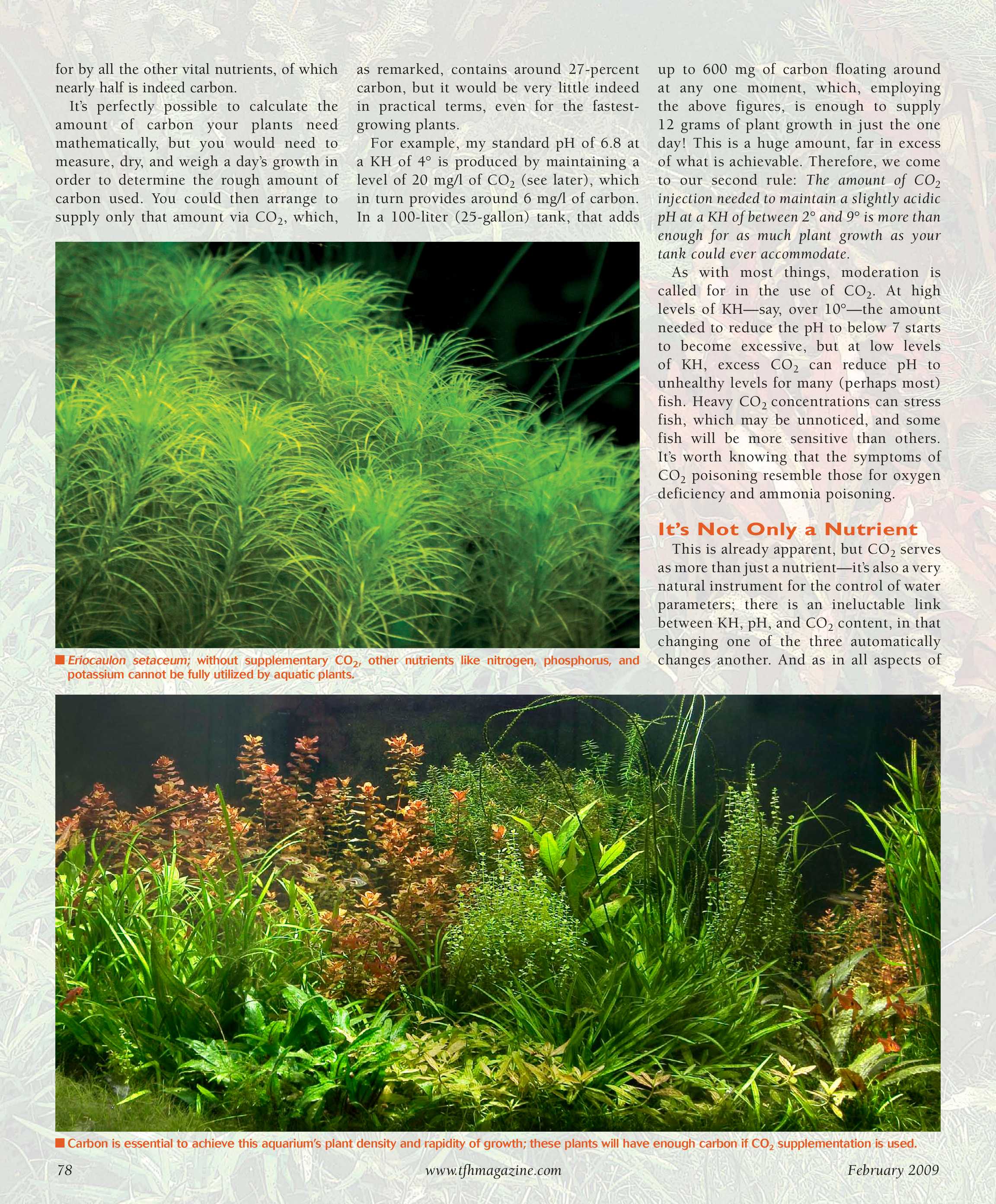 Tropical Fish Hobbyist - February 2009 - page 78