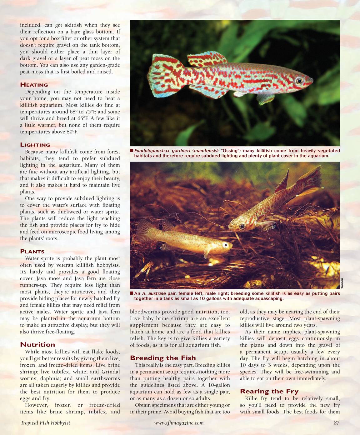 Tropical Fish Hobbyist - May 2009 - page 86