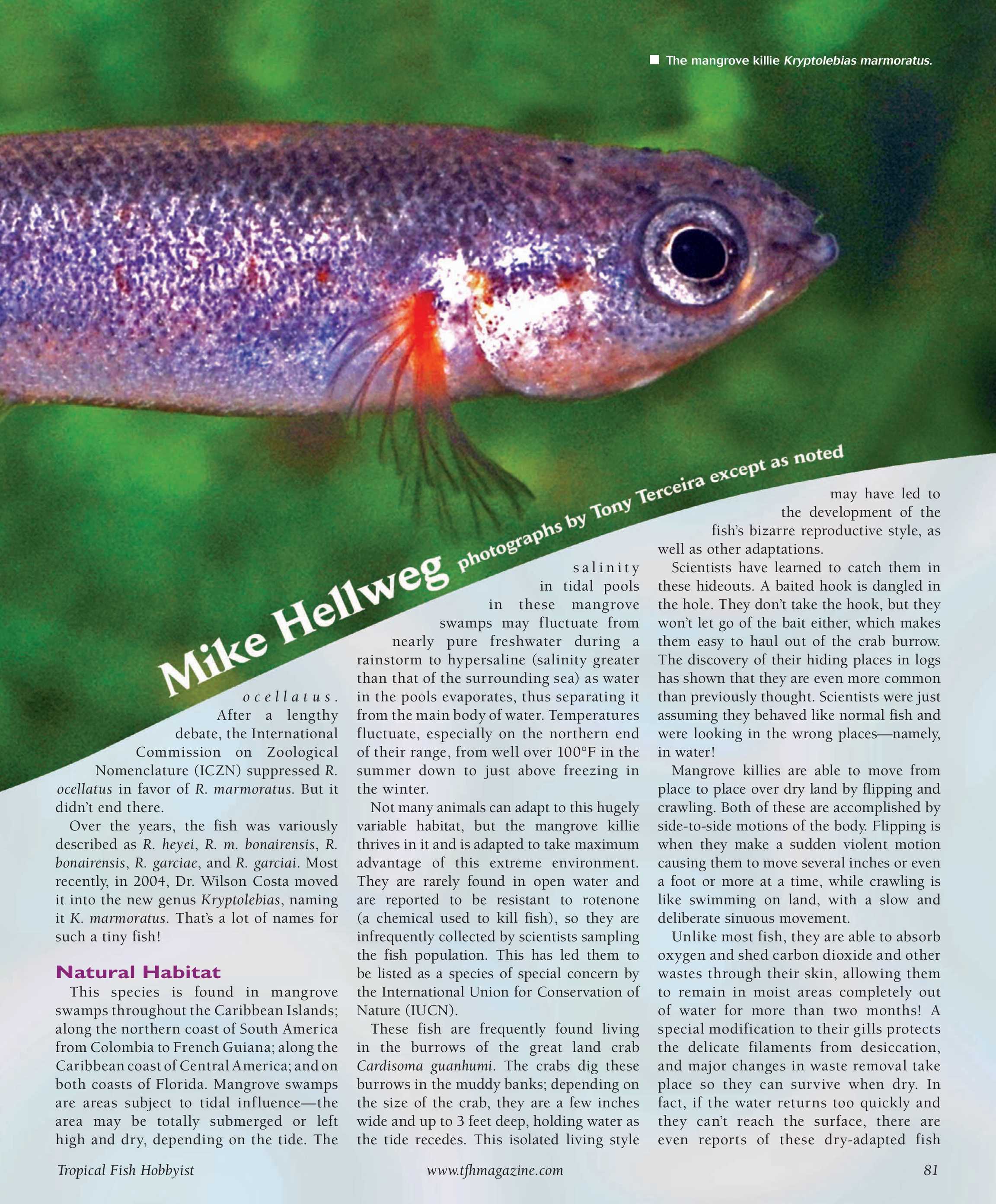 Tropical Fish Hobbyist - May 2009 - page 10