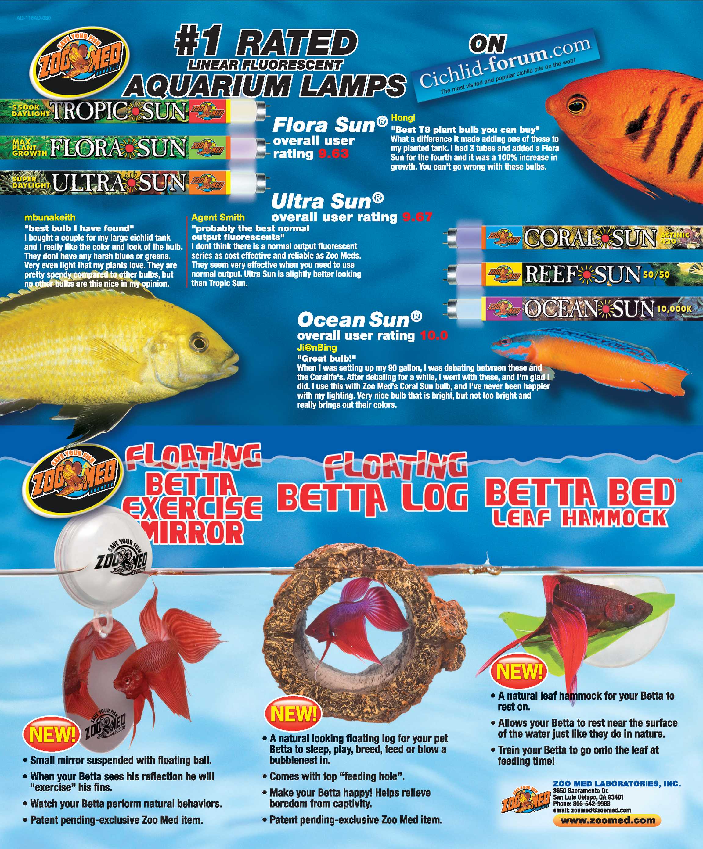 Tropical Fish Hobbyist - September 2009 - page 17