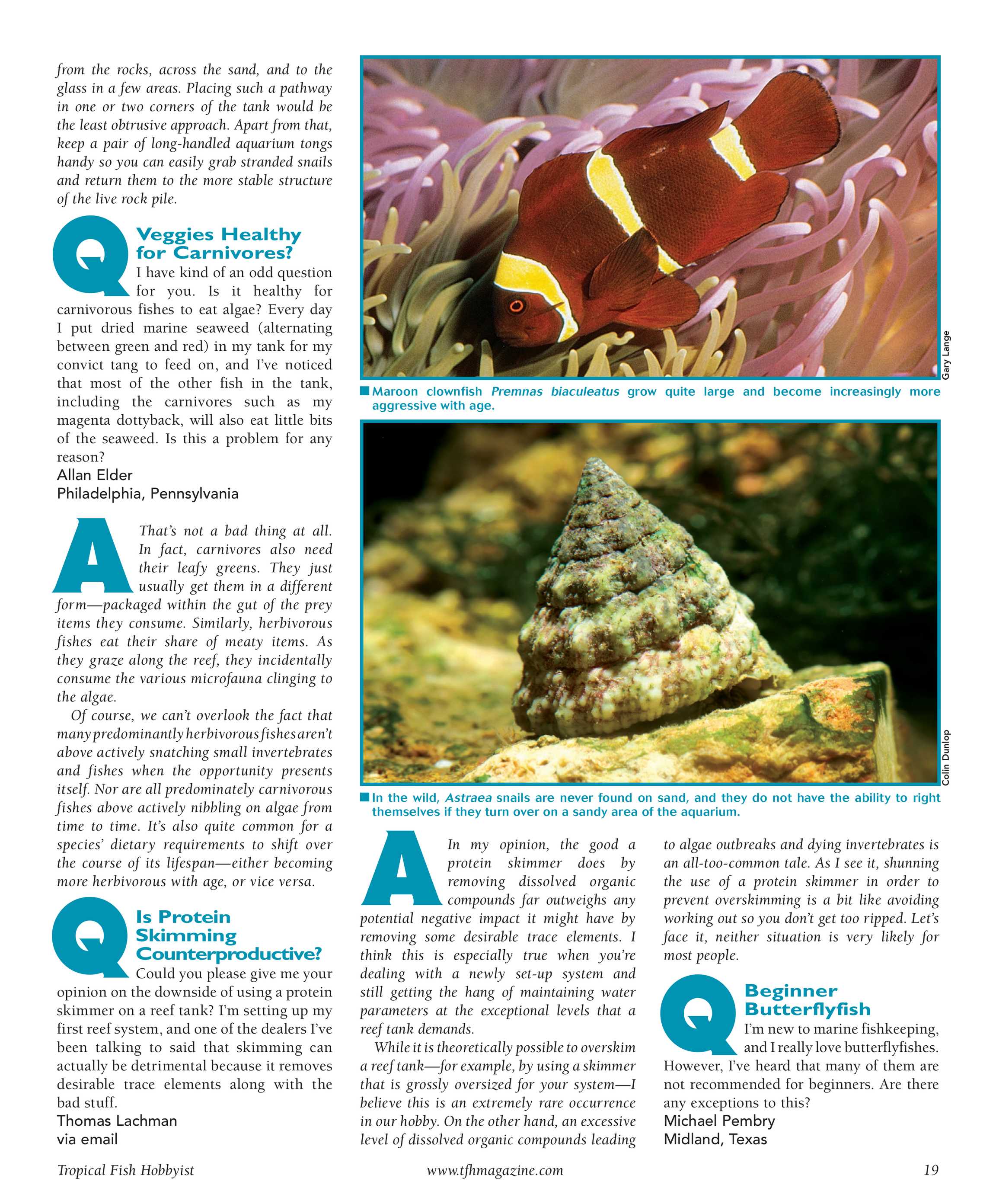 Tropical Fish Hobbyist - September 2009 - page 19