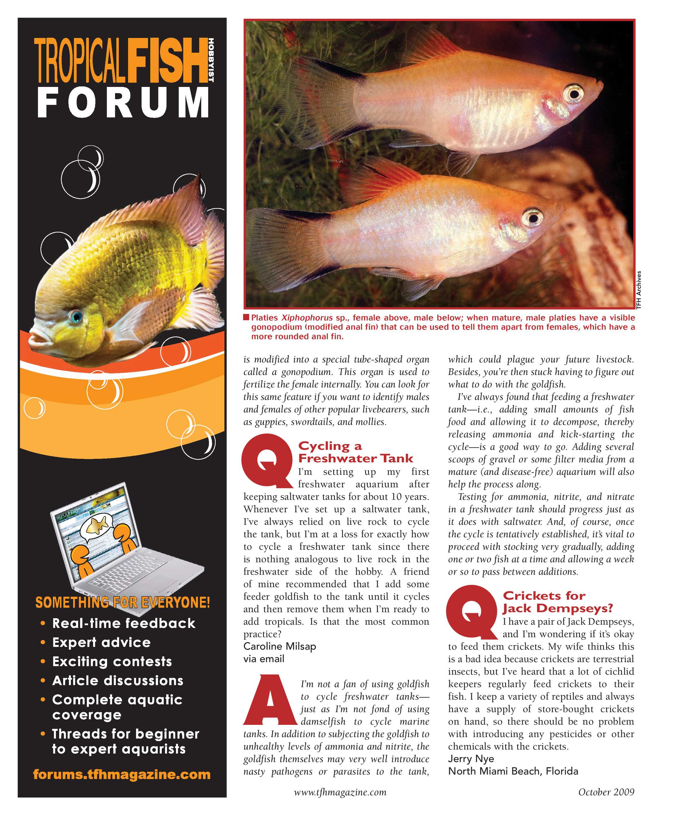 Tropical Fish Hobbyist - October 2009 - page 12