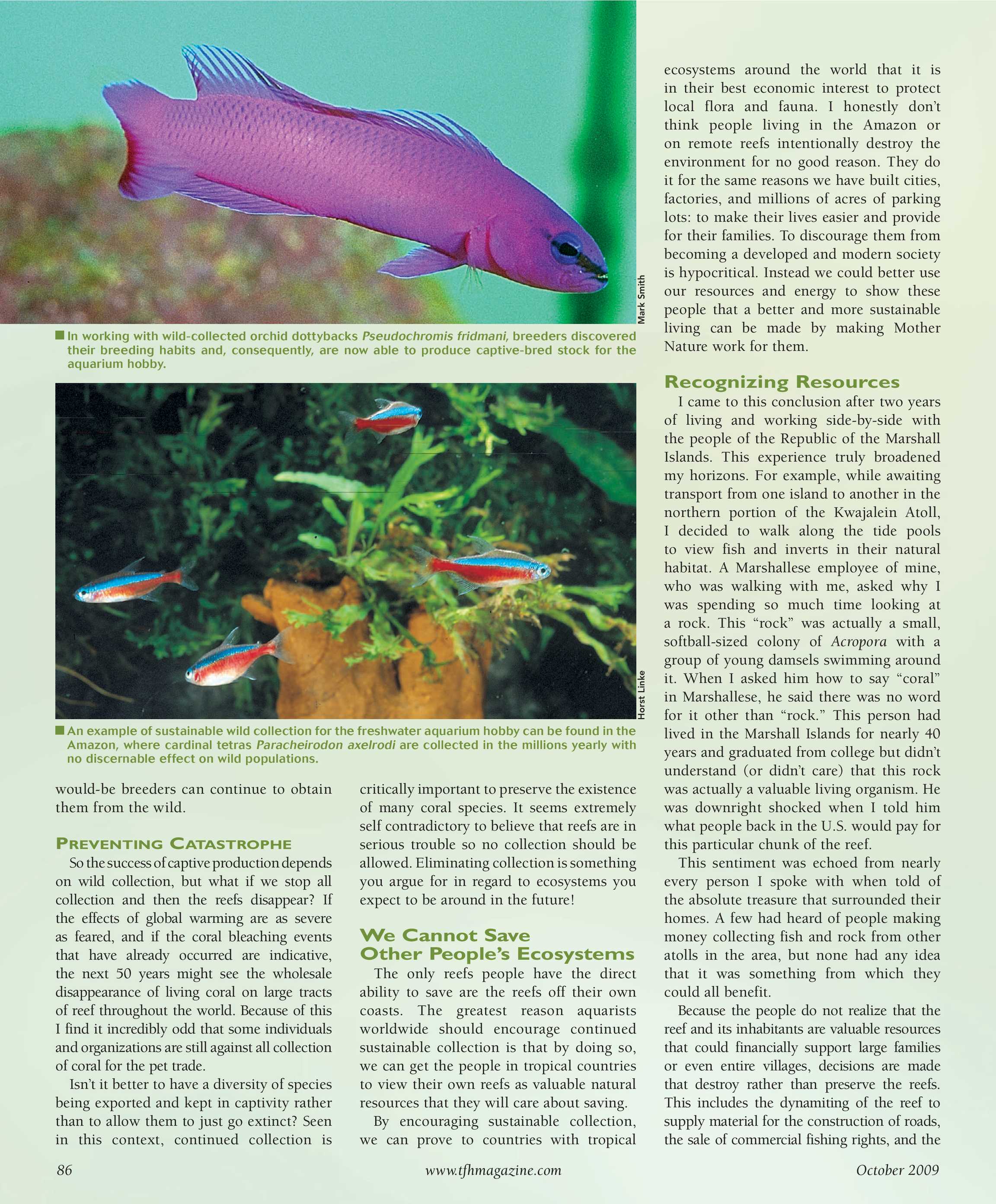 Tropical Fish Hobbyist - October 2009 - page 86