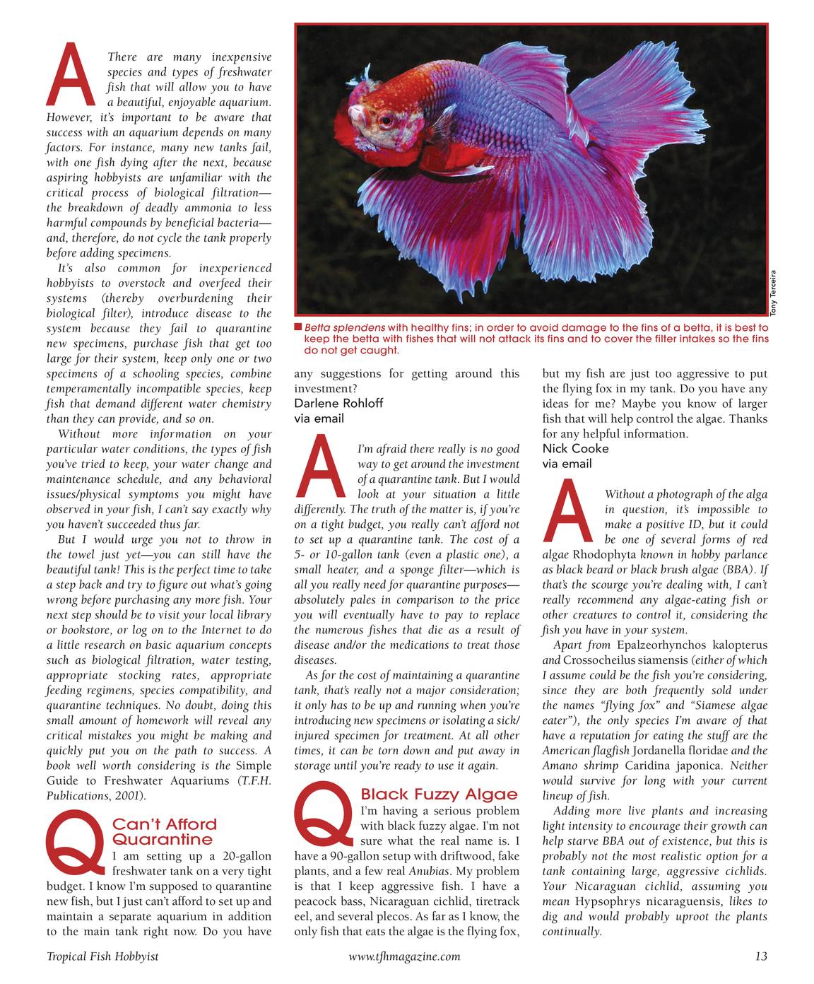 Tropical Fish Hobbyist May 2010 page 12