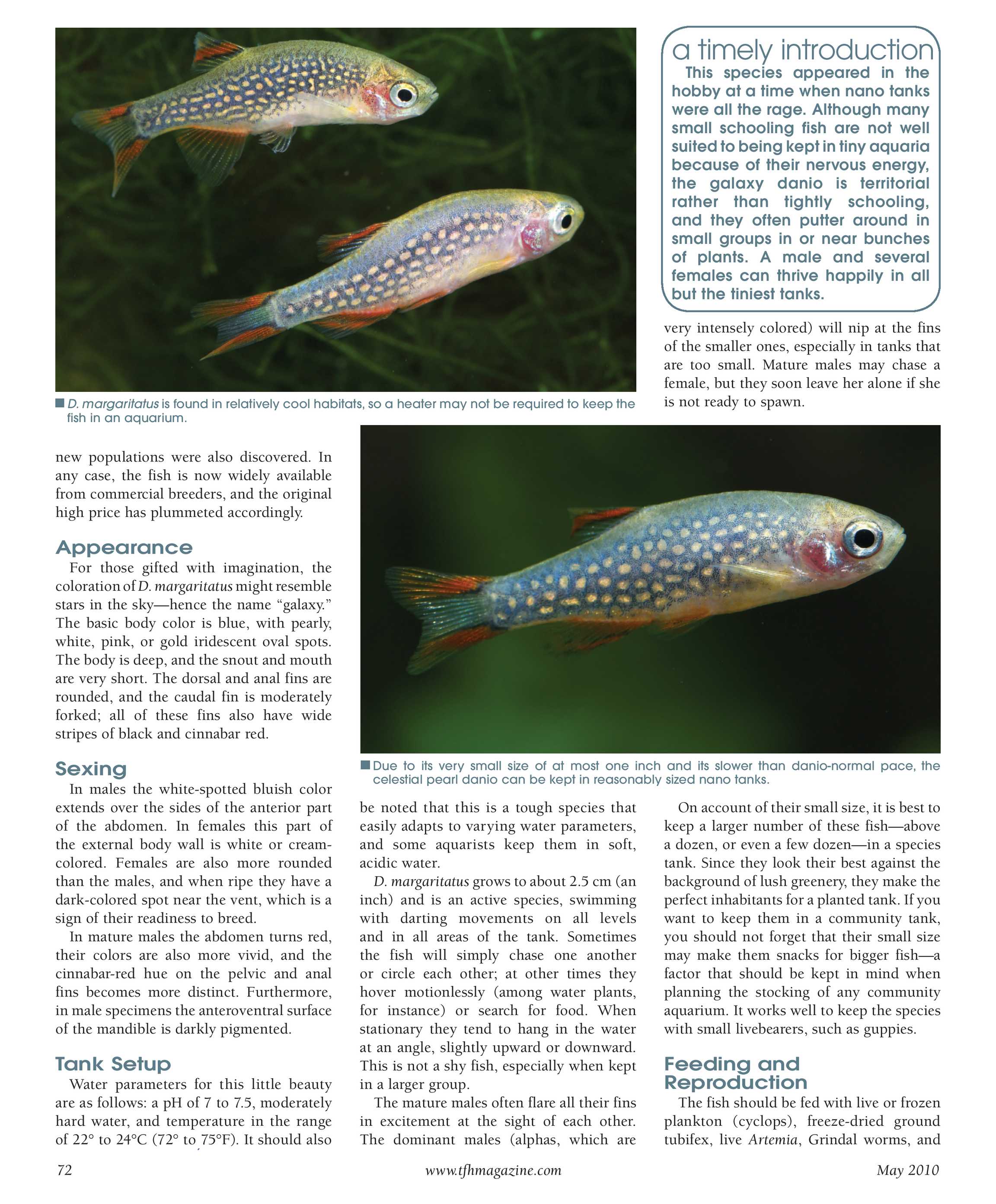 Tropical Fish Hobbyist - May 2010 - page 72