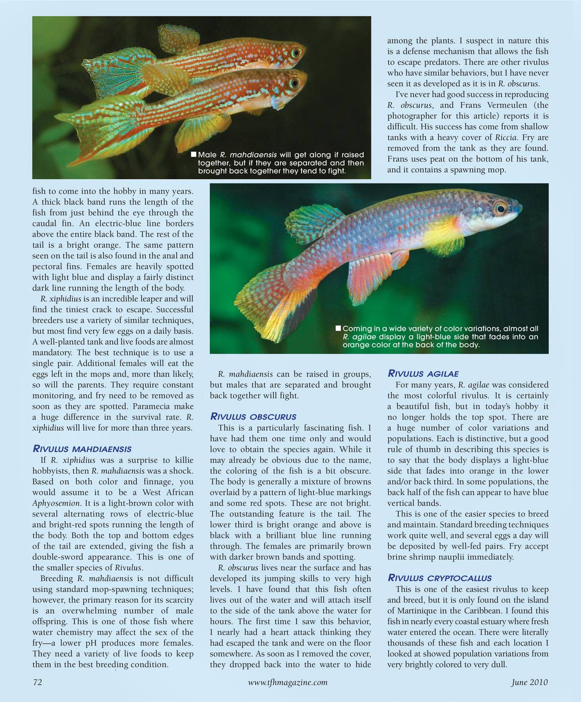 Tropical Fish Hobbyist - June 2010 - page 72