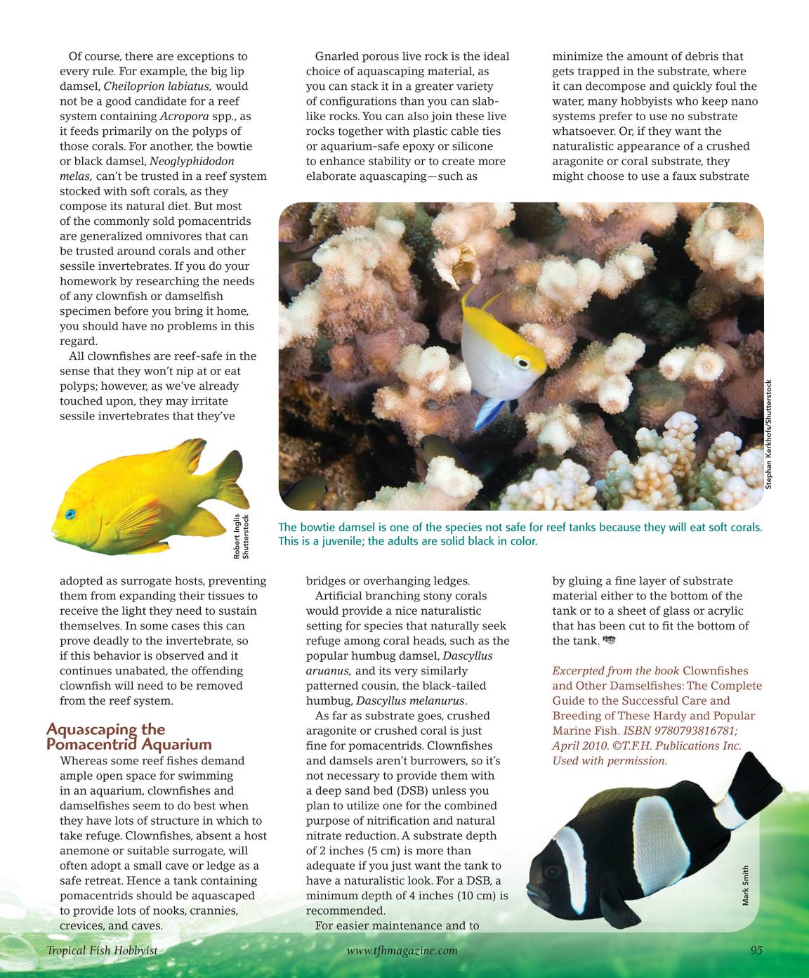 Tropical Fish Hobbyist - October 2010 - page 90