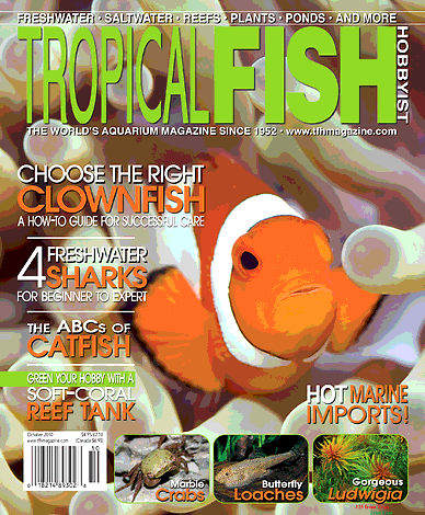 Tropical Fish Hobbyist October 2010   0001 Ibjvgs 