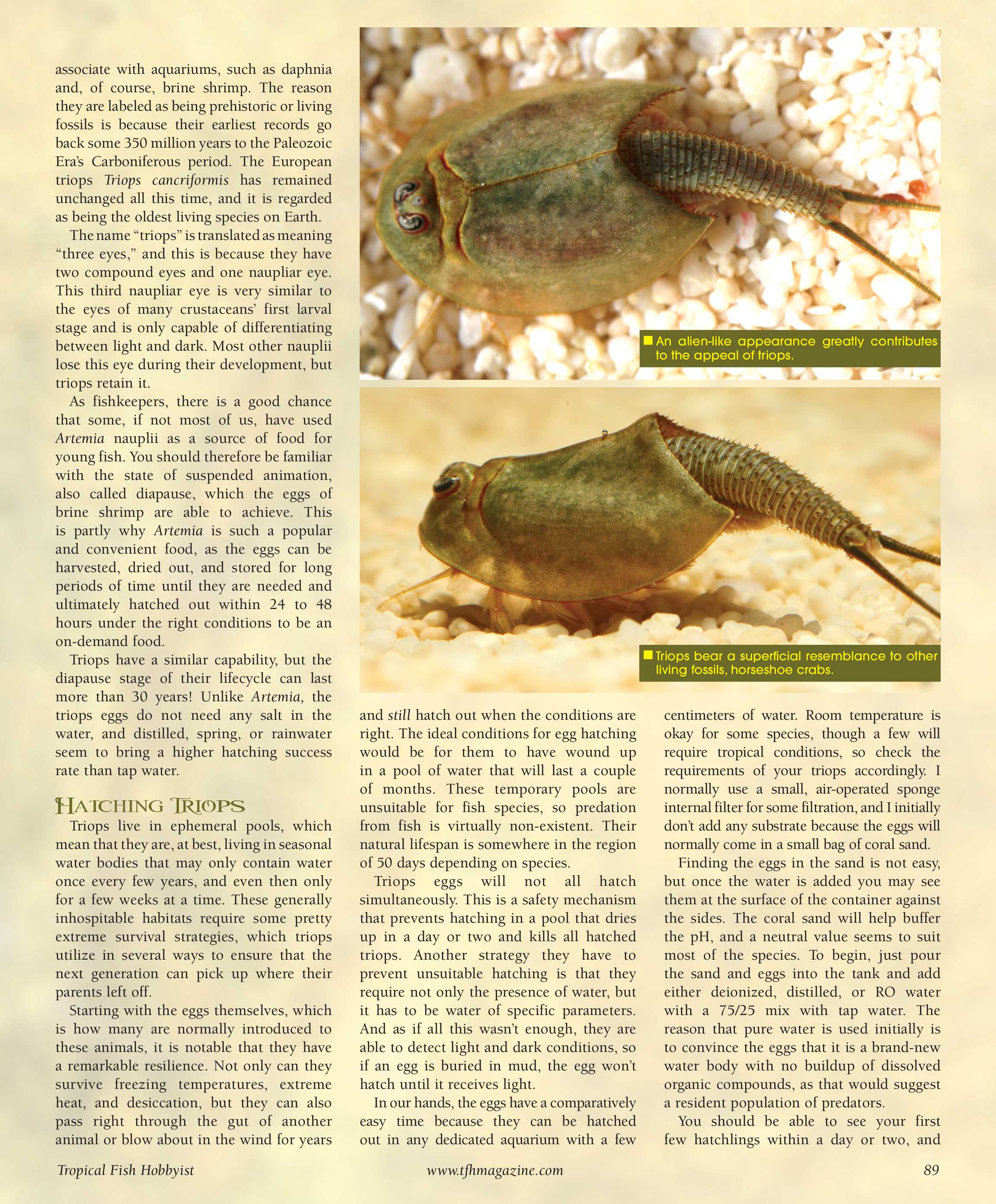 Tropical Fish Hobbyist - February 2011 - page 89