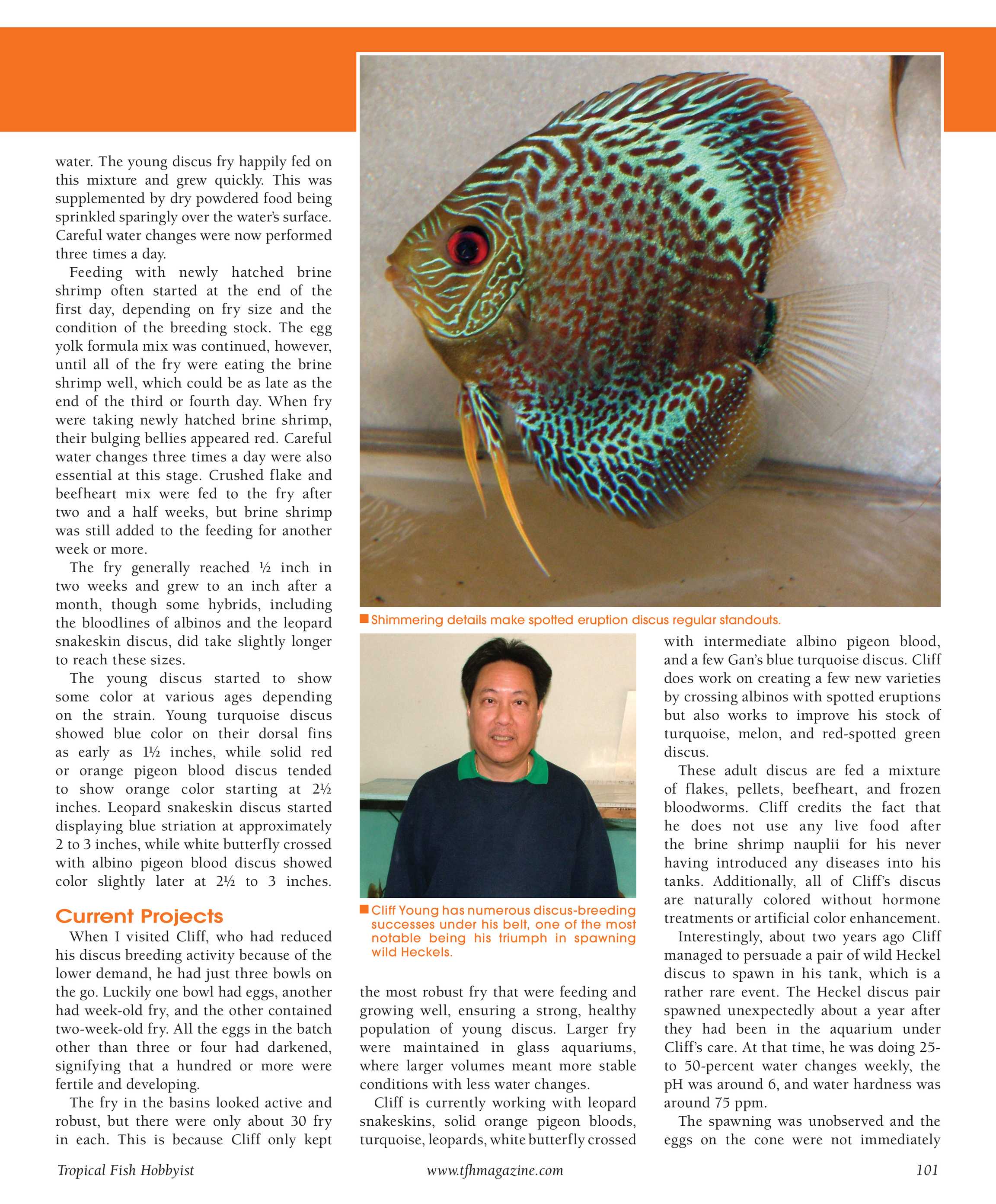 Triops: Ancient Wonders  Tropical Fish Hobbyist Magazine