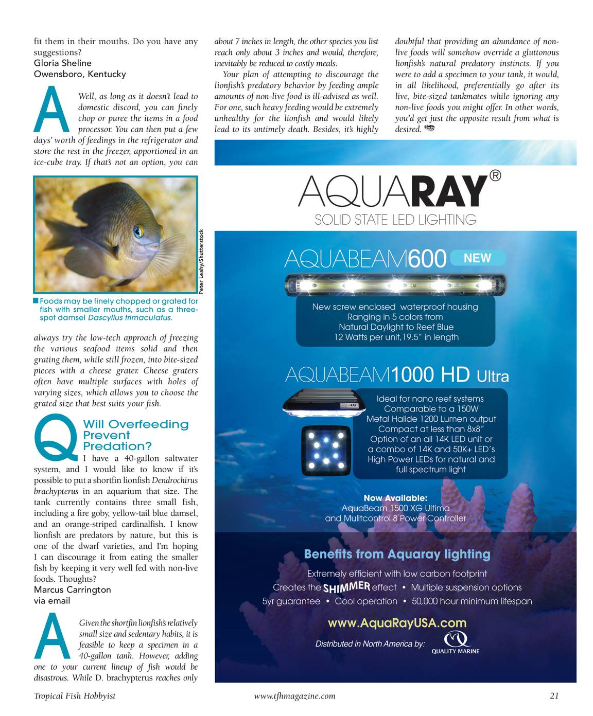 Tropical Fish Hobbyist - July 2011 - page 21