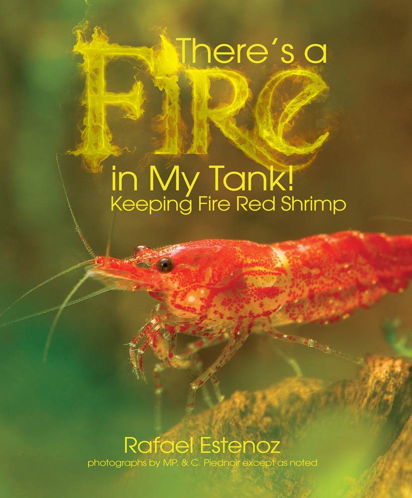 Tropical Fish Hobbyist - October 2011 - There's a Fire in My Tank! Keeping  Fire Red Shrimp
