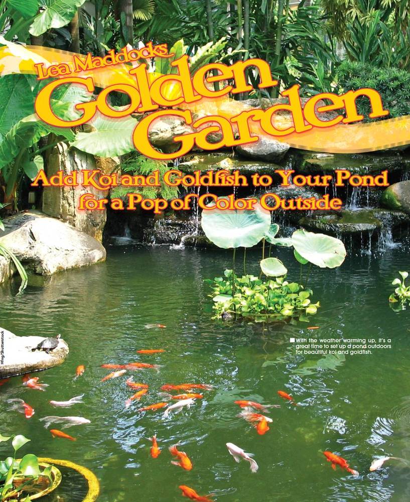 Tropical Fish Hobbyist - July 2012 - Golden Garden