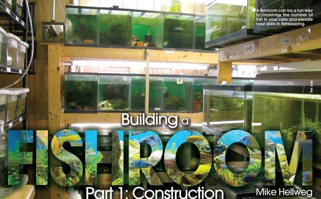 Tropical Fish Hobbyist - September 2012 - Building a Fishroom Part