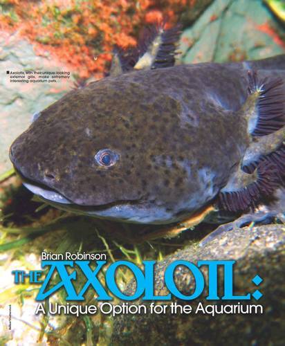 Essential Filter Media for Aquarium Filters.  Anchor Aquatics - UK Online  Aquarium Supplies Shop for Home Fish Keepers