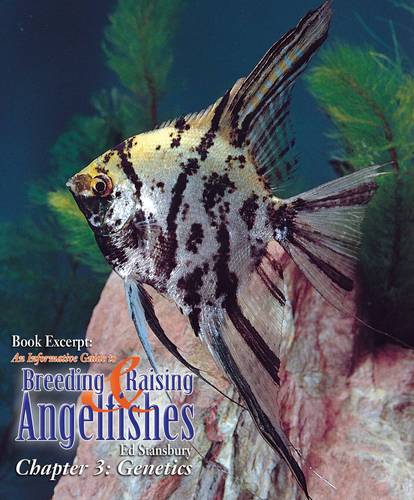 February 2013 - Book Excerpt: An  - Tropical Fish Hobbyist