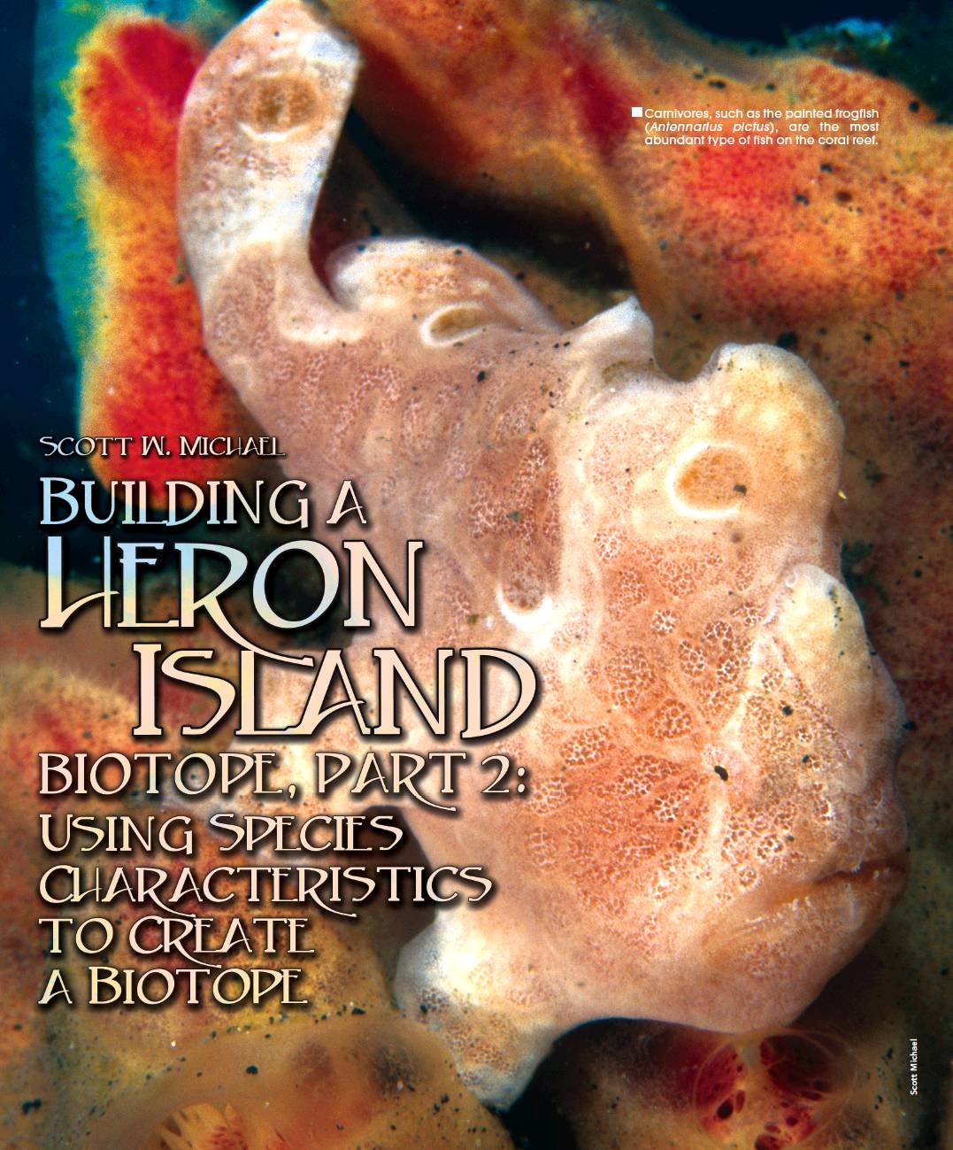 Tropical Fish Hobbyist - February 2013 - BUILDING A HERON ISLAND BIOTOPE,  PART 2: USING SPECIES CHARACTERISTICS TO CREATE A BIOTOPE
