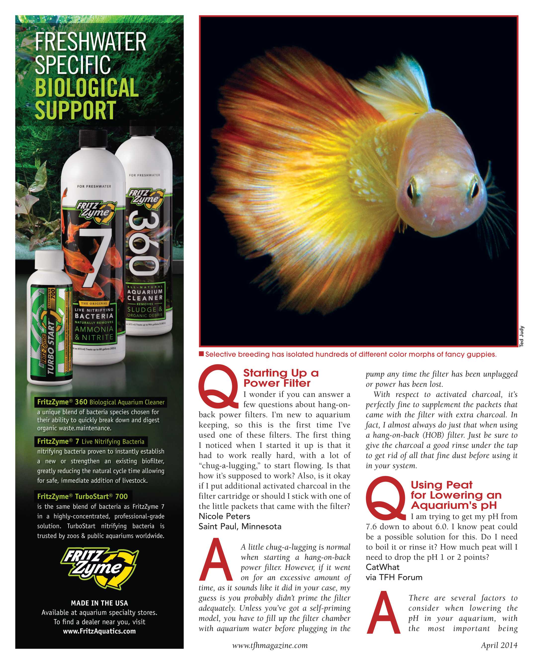 Tropical Fish Hobbyist - April 2014 - page 12