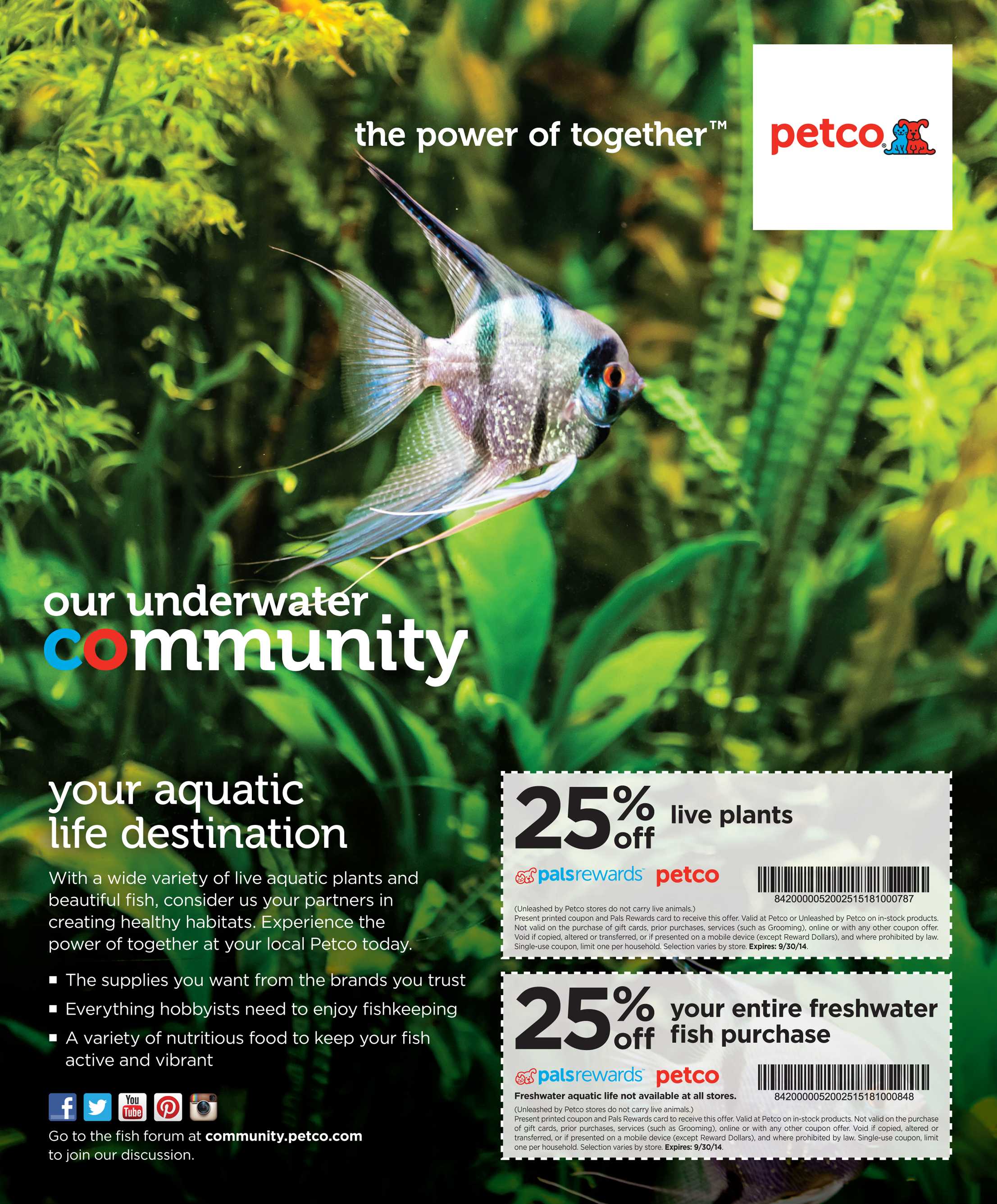 Petco live aquatic outlet plants