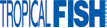 Click here to visit our homepage