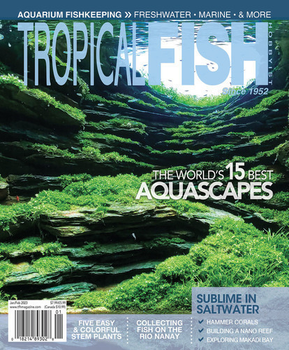 Starting a Nano Aquarium  Tropical Fish Hobbyist Magazine