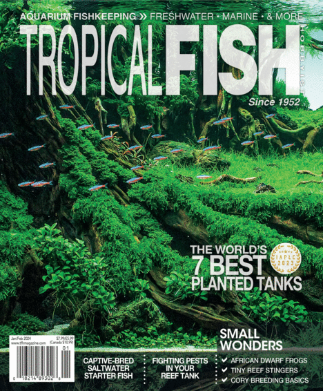 Tropical Fish Hobbyist - Jul/Aug 2017 - page 60
