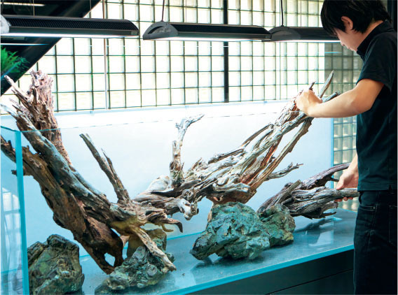 Tropical Fish Hobbyist - Jan/Feb 2024 - Nature Aquarium: A Fan