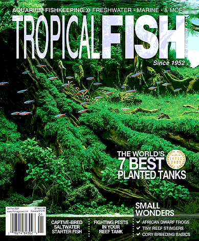 Tropical Fish Hobbyist Jan Feb 2024   0001 Dybmmu 