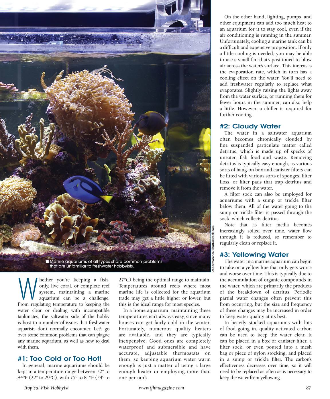 Tropical Fish Hobbyist - Jul/Aug 2016 - page 86