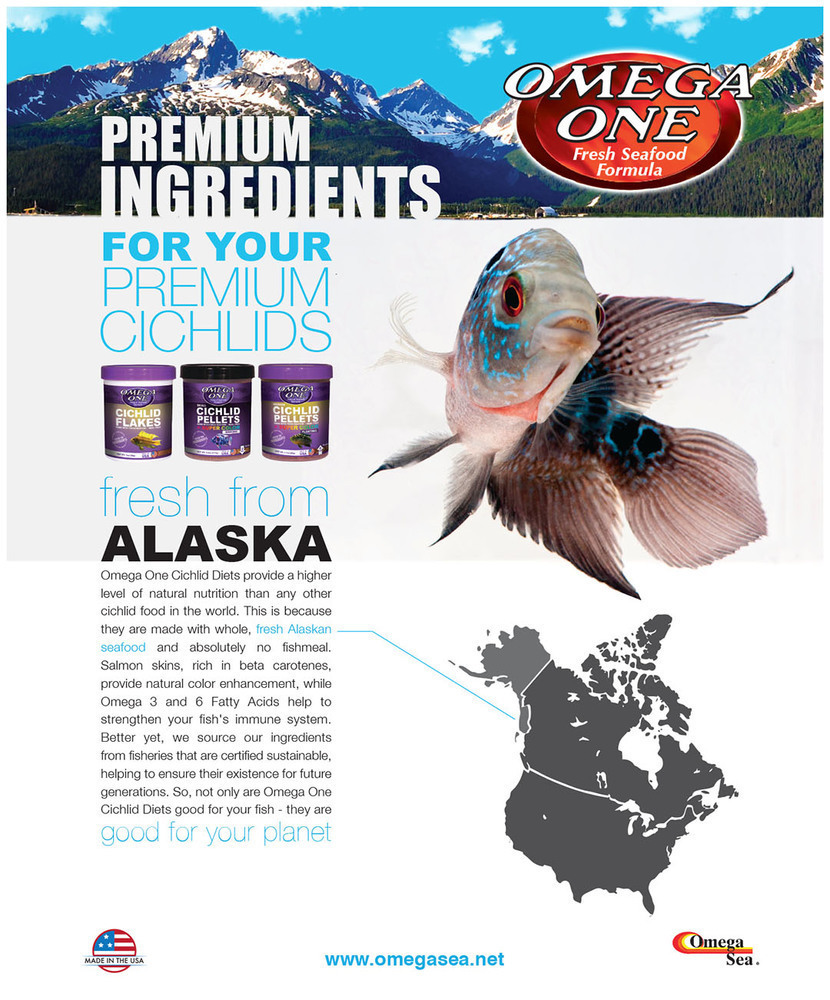 Cichlids from Central America　熱帯魚 Tropical Fish Hobbyist - Jul/Aug 2020 - A Dozen Delightful