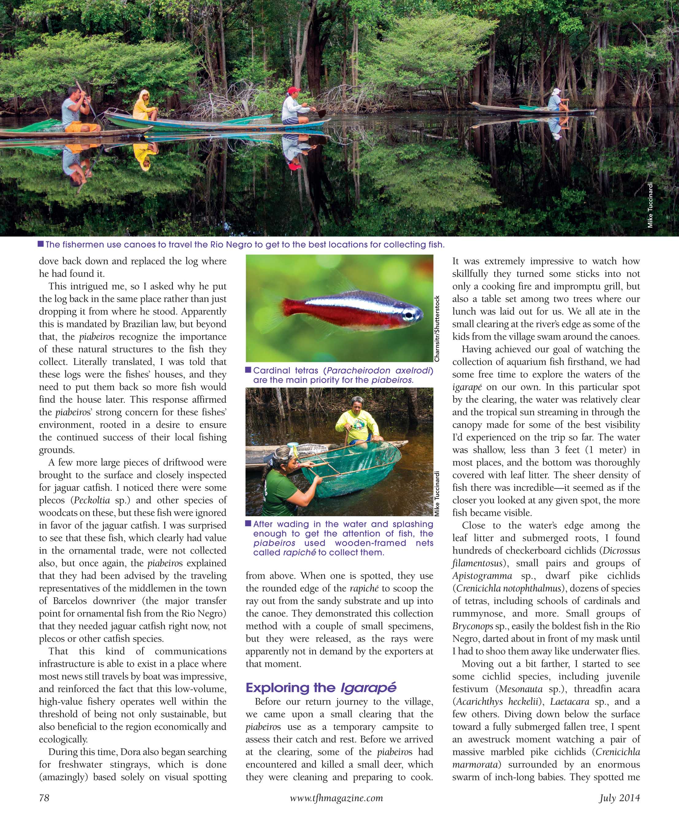 Tropical Fish Hobbyist - July 2014 - page 78
