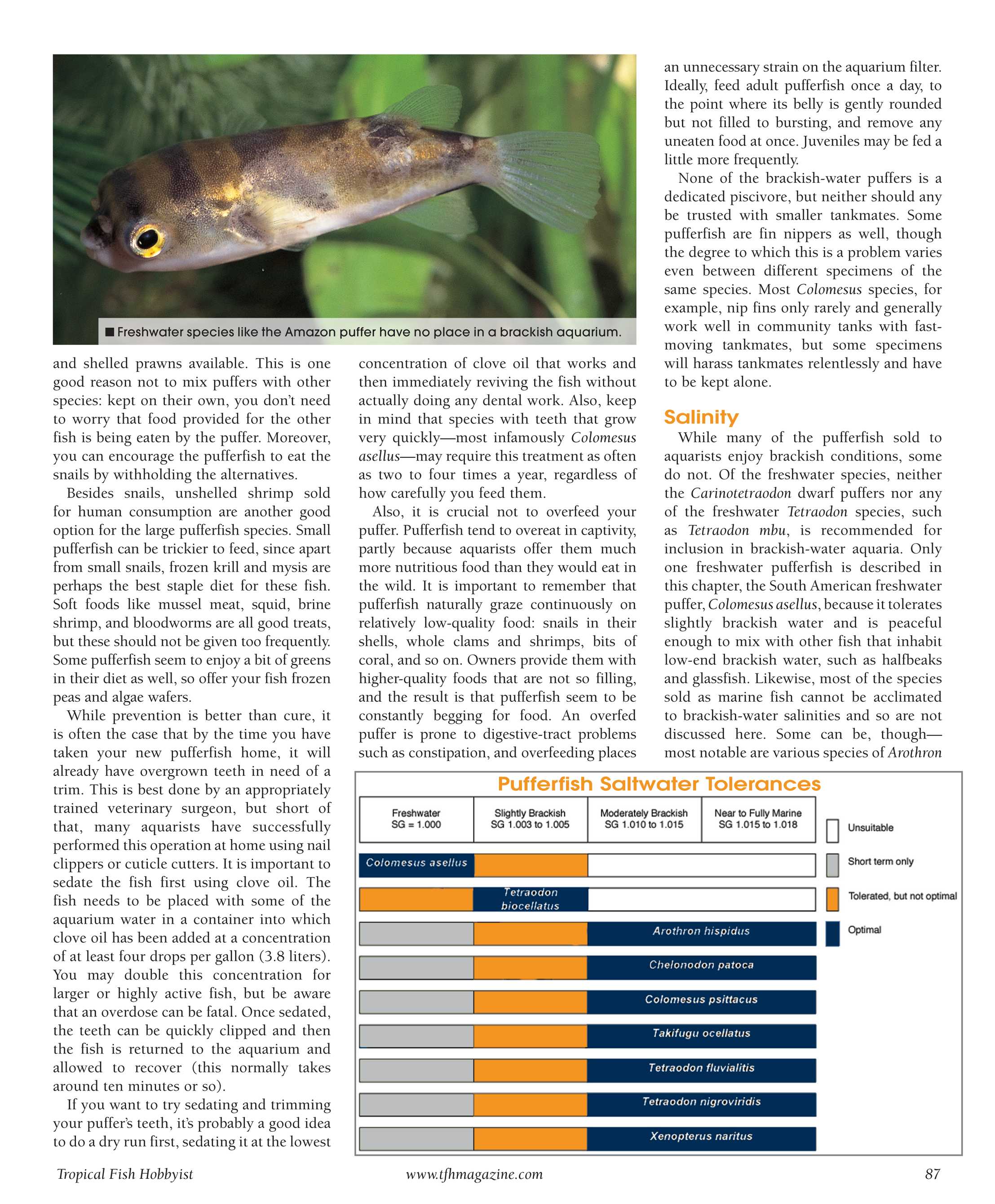 Tropical Fish Hobbyist - Mar/Apr 2017 - page 87