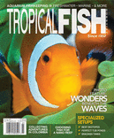 Tropical Fish Hobbyist - Jul/Aug 2017 