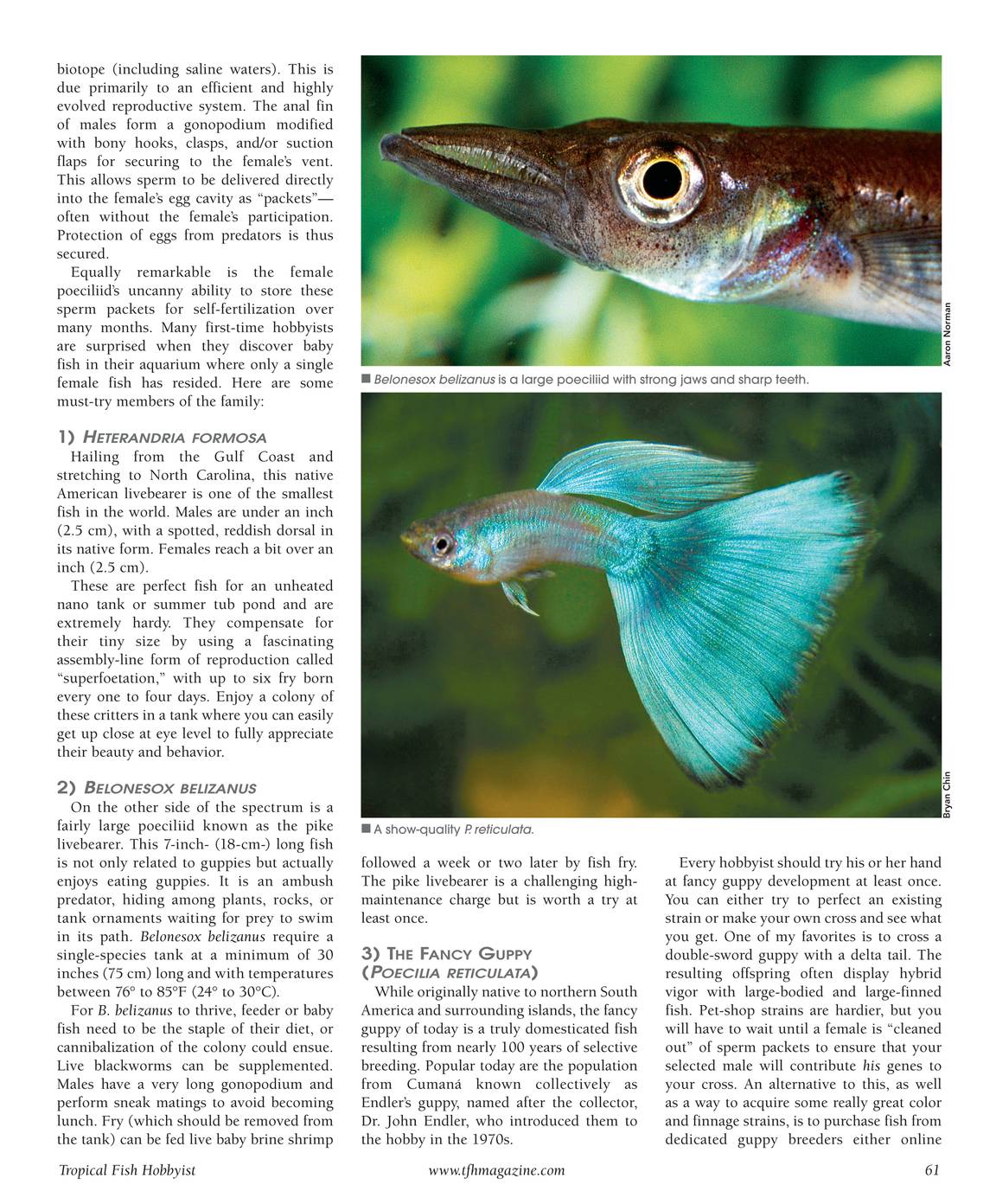 Tropical Fish Hobbyist - May 2015 - page 61