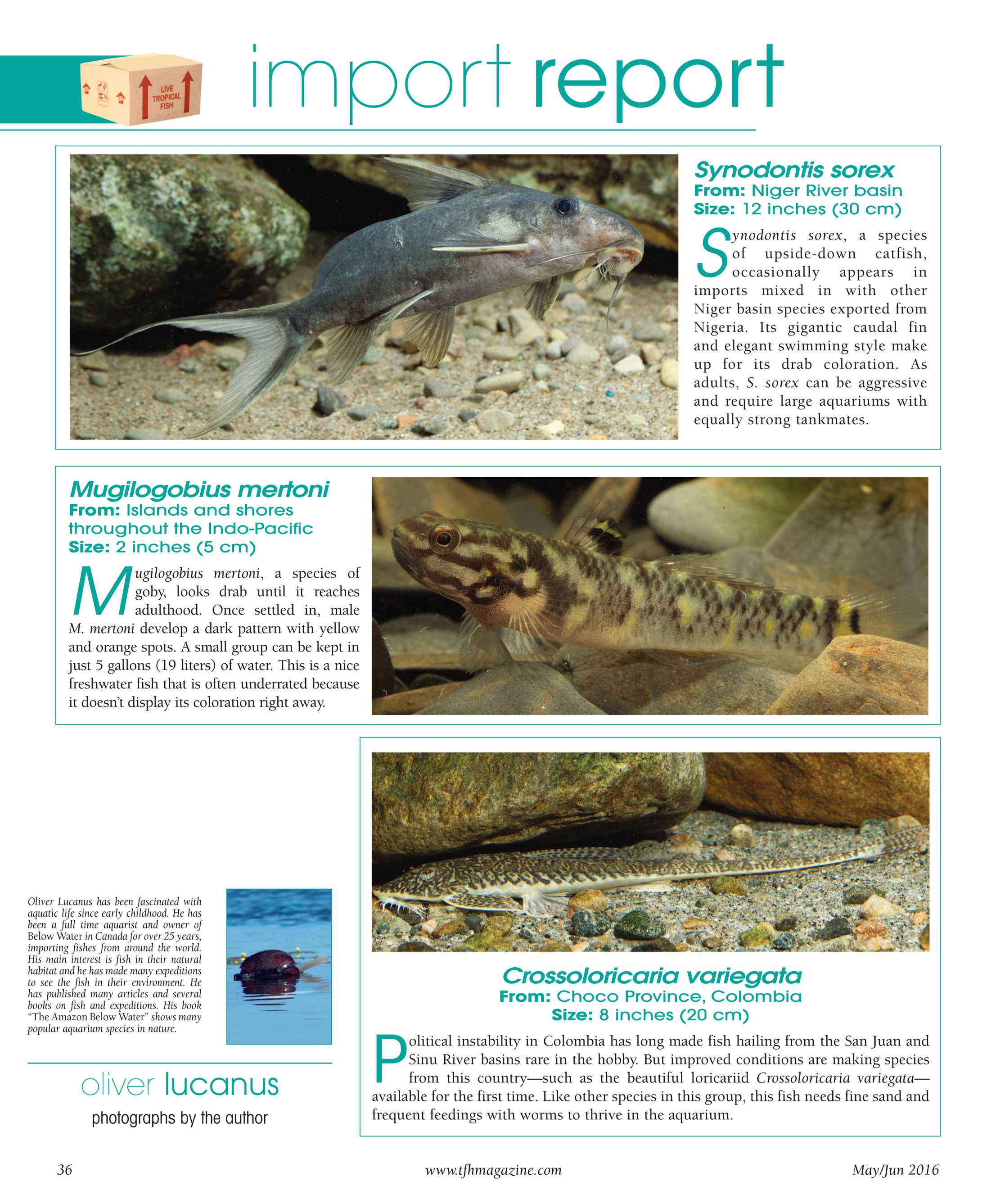 Tropical Fish Hobbyist - May/Jun 2016 - page 36