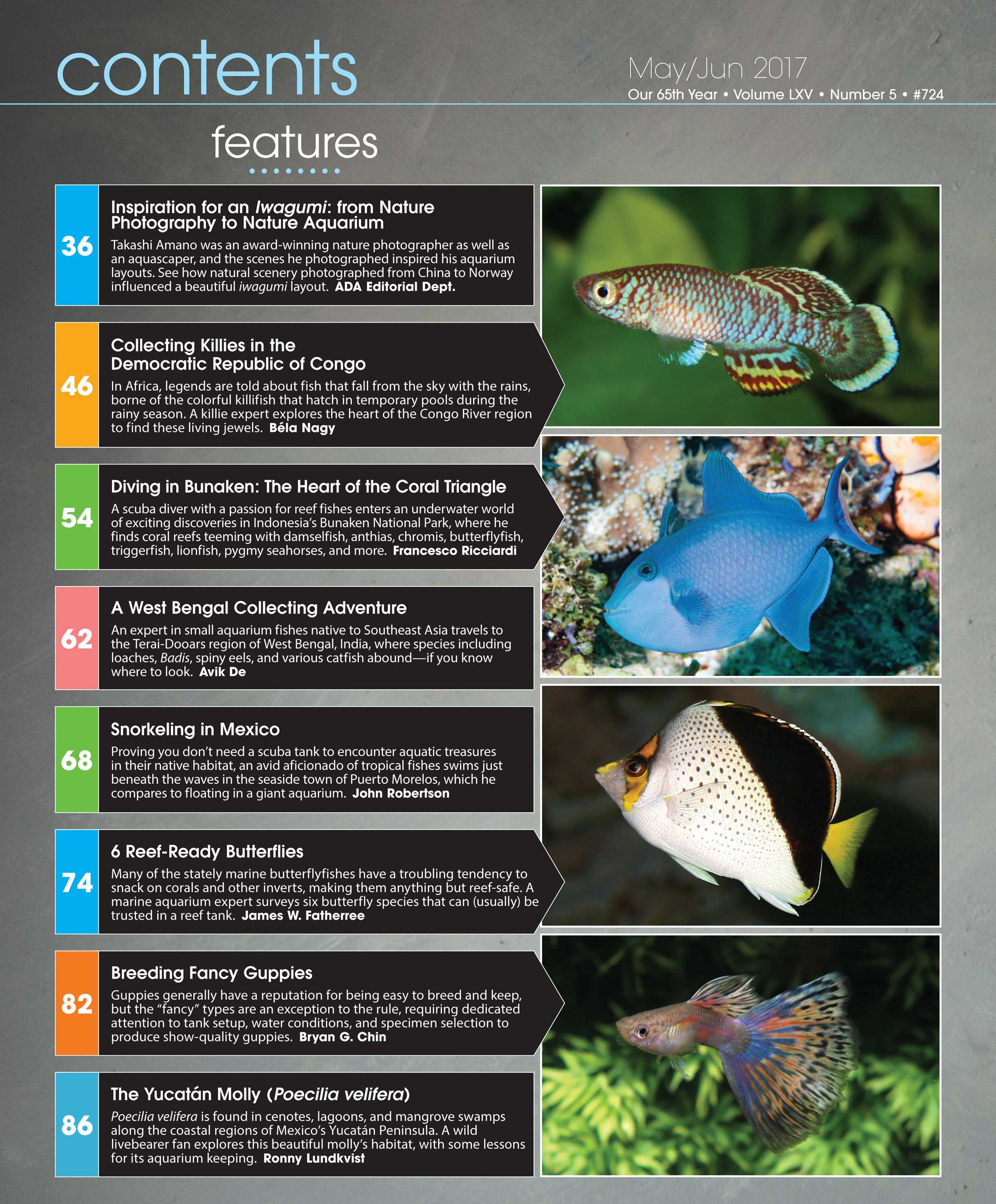 tropical aquarium fish list