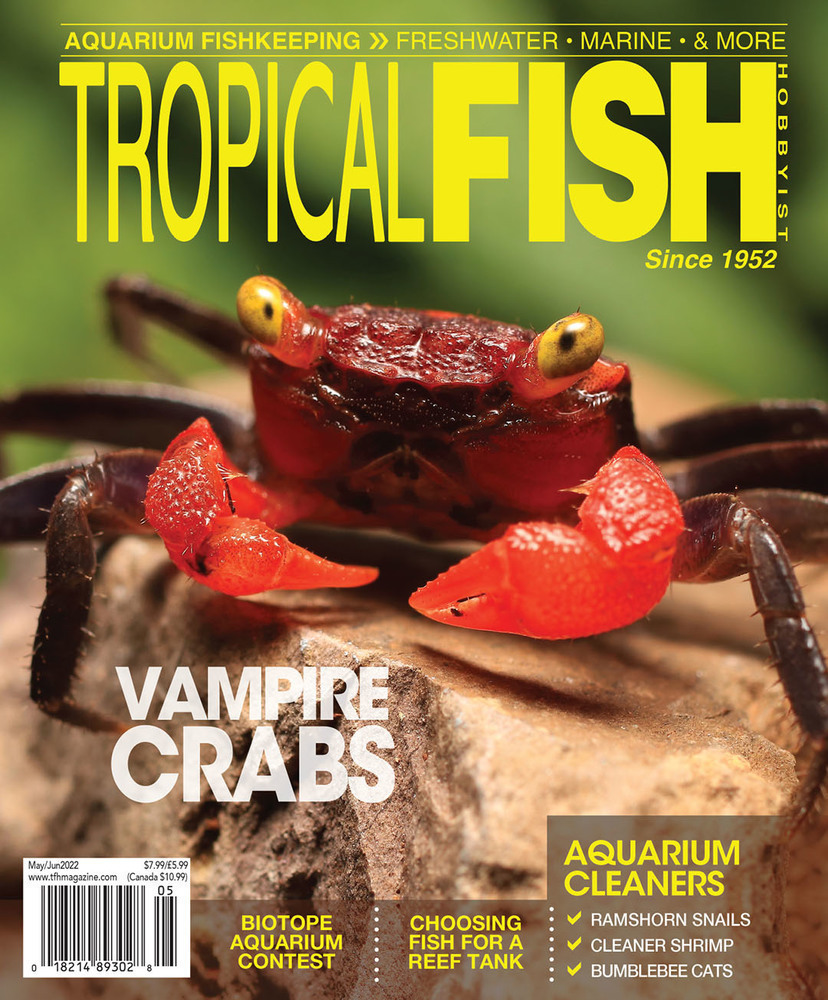 Tropical Fish Hobbyist - May/Jun 2022 - Cover