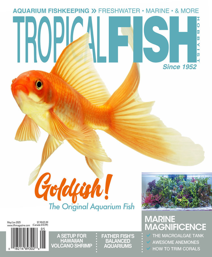 Tropical Fish Hobbyist - May/Jun 2025 - Cover